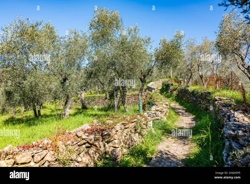 Passo dopo Passo: Le Antiche Mulattiere che Raccontano la Storia della Valle di Entracque