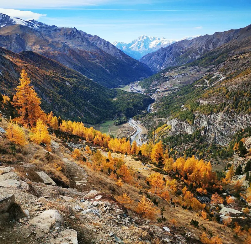 Lavorare come la montagna respira: il ritmo lento di Entracque come antidoto al burnout