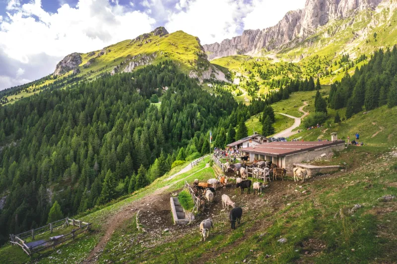 Dal Pascolo alla Piazza: Come la Valle Gesso Insegna all'Italia a Fare i Conti con la Natura
